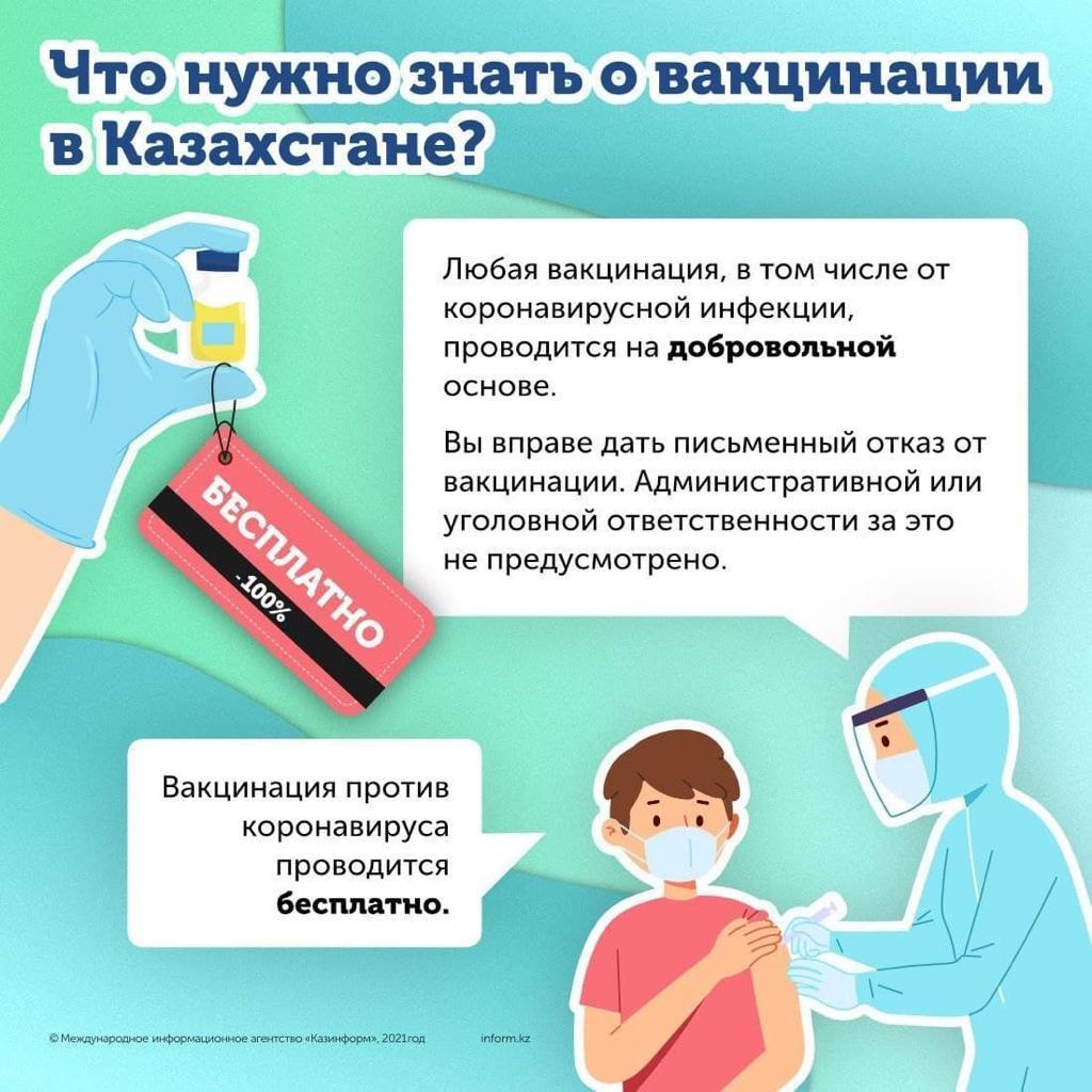 Вакцина инфографика